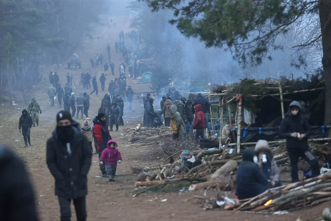 Migranti se zbirajo ob meji Belorusije s Poljsko. FOTO: Reuters
