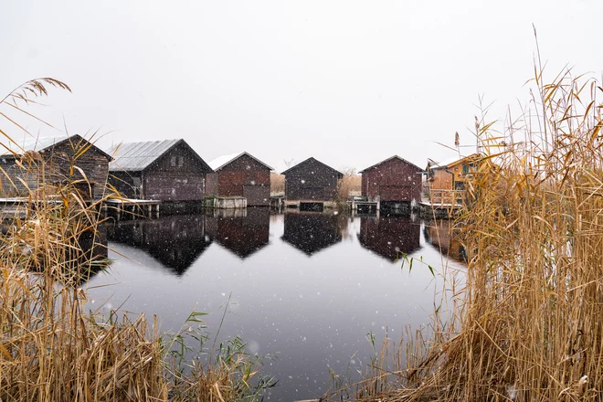 Po vojni so si ob »Dunajskem morju« zgradili koče mnogi umetniki in intelektualci. FOTO: Burgenland Tourismus Gmbh/Birgit Machtinger
