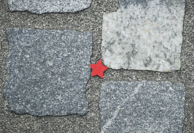 Uspešno spopadanje s pandemijo po vsej Evropi spominja na reanimacijo idej socializma, na oživljanje načel kolektivizma ter občutka skupnosti in solidarnosti. FOTO: Jože Suhadolnik/Delo
