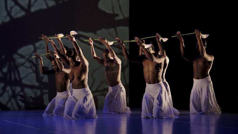 Fotografija: Ples je za korepgrafinjo zavzemanje stališča, izkazovanje odgovornosti, ki ga umetnik ima do sveta. Prizor iz predstave Žrtvovanje. FOTO: John Hogg
