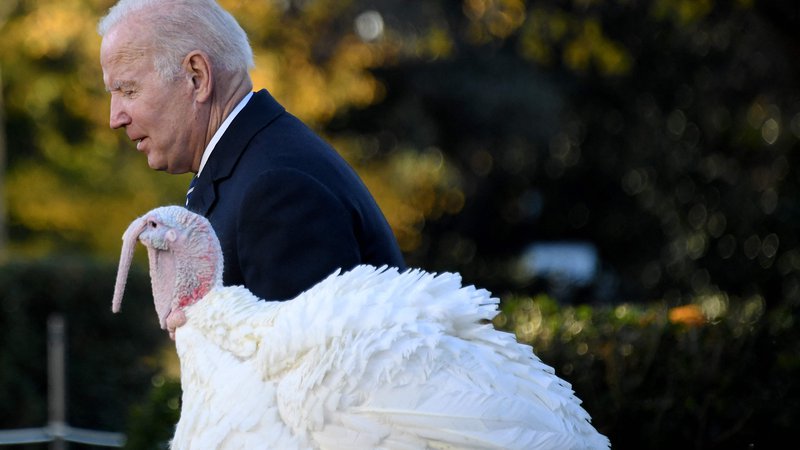 Fotografija: Joe Biden je po pregledu in pred svojim rojstnim dnem pred Belo hišo pomilostil praznična purana z imenoma Arašidovo maslo in Žele. FOTO: Olivier Douliery/Afp
