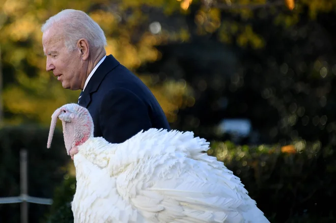 Joe Biden je po pregledu in pred svojim rojstnim dnem pred Belo hišo pomilostil praznična purana z imenoma Arašidovo maslo in Žele. FOTO: Olivier Douliery/Afp
