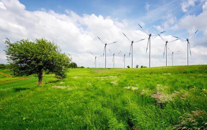 Podnebju prijaznejši življenjski slog se osredotoča predvsem na področja mobilnosti, oskrbe s hrano in porabe energije. FOTO: Depositphotos

 
