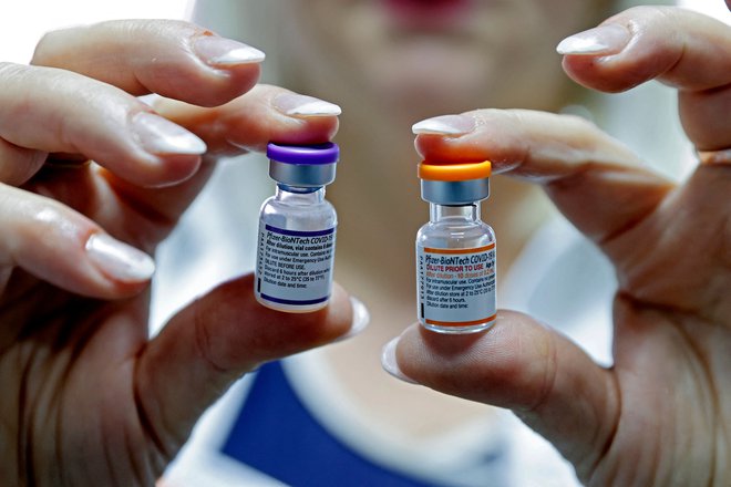 Cepivo je trenutno v ZDA na voljo posameznikom, starim od 12 do 15 let, na podlagi dovoljenja za nujno uporabo, ki ga je pristojna ameriška agencija izdala maja letos. FOTO: Jack Guez/AFP
