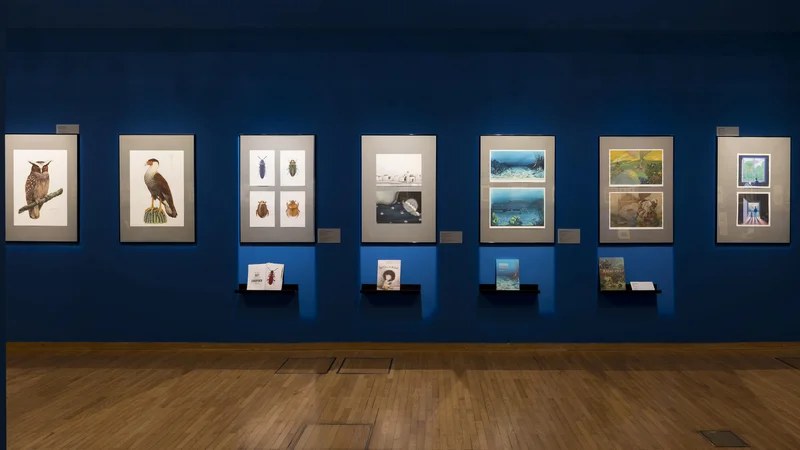Fotografija: Prvi nacionalni strokovni posvet o vizualni pismenosti bo v Cankarjevem domu potekal kot del spremljevalnega programa 14. slovenskega bienala ilustracije. FOTO: Aleš Rosa