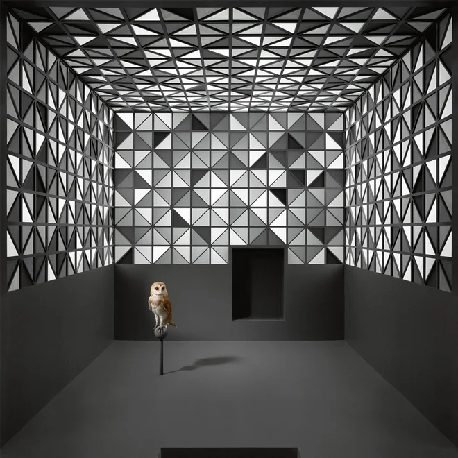 Jasmina Cibic, Ideologije prikaza (Ideologies of Display). FOTO: Galerija Škuc
