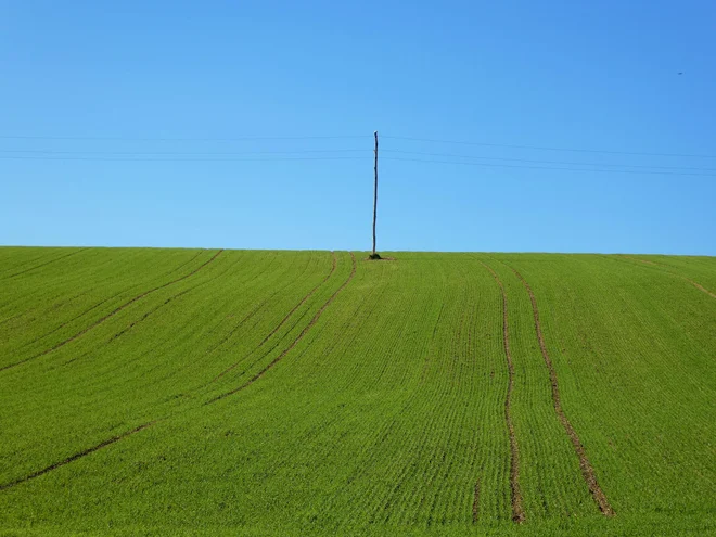 Njen prvenec Svet kot iz škatlice vzet govori o odraščanju v Soboti in še o marsičem drugem. FOTO: Miroslav Cvjetičanin
