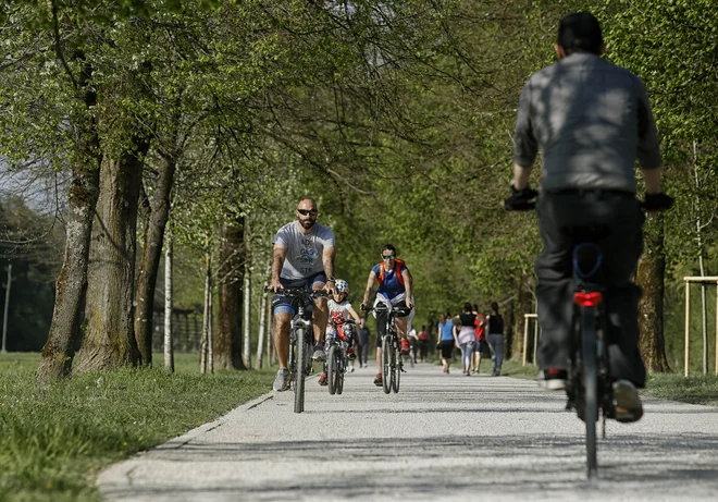 FOTO: Blaž Samec/Delo
