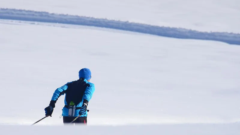 Fotografija: Obiskali smo naša dva največja trgovca s športno opremo, da bi preverili kako kaj letos stojijo z zalogo opreme za tek na smučeh. FOTO: Shutterstock