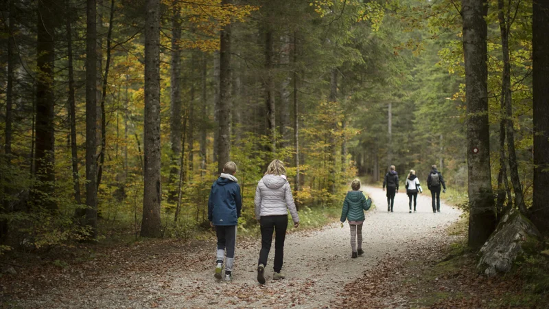 Fotografija: Skrb za zdravje je pomembno v vseh življenjskih obdobjih, strokovnjaki pa svetujejo zdravo prehrano in redno gibanje. FOTO: Jure Eržen/Delo
