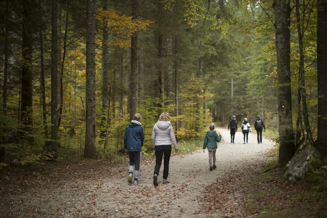 Skrb za zdravje je pomembno v vseh življenjskih obdobjih, strokovnjaki pa svetujejo zdravo prehrano in redno gibanje. FOTO: Jure Eržen/Delo
