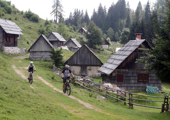 Zlasti poleti je na pokljuški planoti vse polno kolesarjev. FOTO: Dejan Javornik/Slovenske novice
