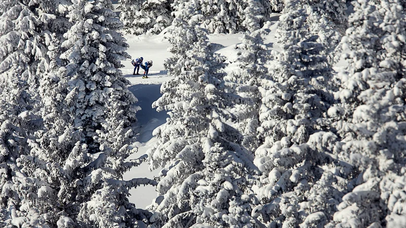 Fotografija: Pokljuka, prizorišče mednarodnih tekem v biatlonu, je vse bolj priljubljen cilj za izvajanje različnih prostočasnih dejavnosti. FOTO: Voranc Vogel/Delo
