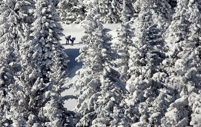 Pokljuka, prizorišče mednarodnih tekem v biatlonu, je vse bolj priljubljen cilj za izvajanje različnih prostočasnih dejavnosti. FOTO: Voranc Vogel/Delo
