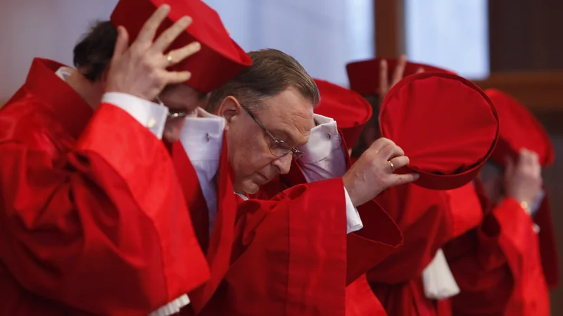 Nemško ustavno sodišče FOTO: Johannes Eisele/Reuters