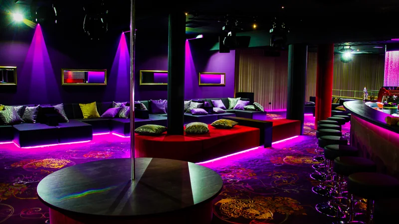 Fotografija: Klub Marina v Ajševici pri Novi Gorici je bilo prizorišče prostitucije, a lastniki trdijo, da se s tem niso okoriščali. FOTO: Marina