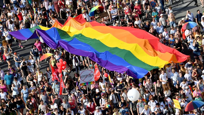 Fotografija: Madžarska je dostop do informacij o neheteronormativnosti že omejila. FOTO: Attila Kisbenedek/AFP
