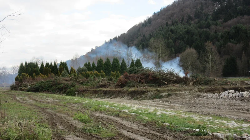 Fotografija: Dim se je valil z območja nekdanje drevesnice, kjer je večji del dreves posekan. FOTO: Špela Kuralt/Delo