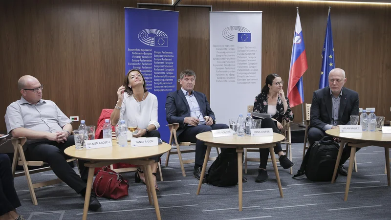 Fotografija: Sodelovanje slovenskih evropskih poslancev pri vlaganju amandmajev je slabo. FOTO: Jože Suhadolnik/Delo