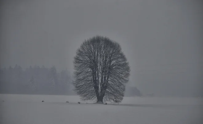 Slovenija prihodnosti se skriva v pravih odločitvah. FOTO:&nbsp;Blaž Samec/Delo
