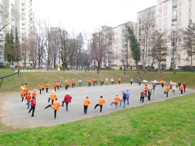 Ljubljana Šiška. FOTO: Društvo Šola zdravja 
