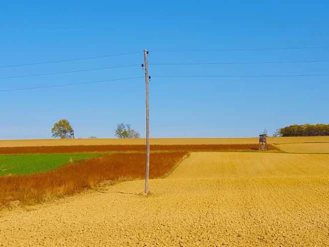 Goričko sije jeseni v vseh mogočih barvah. FOTO: Lev Furlan Nosan
