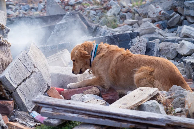 FOTO: Depositphotos
