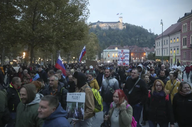 Politika je pri sprejemanju zakona o nalezljivih boleznih previdna, zadnji vladni predlog je namreč razvnel strasti. Napovedan je bil referendum. FOTO: Jure Eržen/Delo
