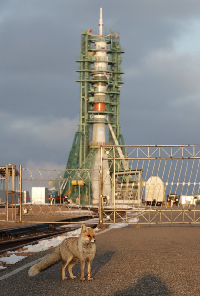 Ruska raketa sojuz MS-20 je poletela ob 8. uri in 38 minut. Kapsula bo do ISS potovala šest ur. FOTO: Shamil Zhumatov/AFP
