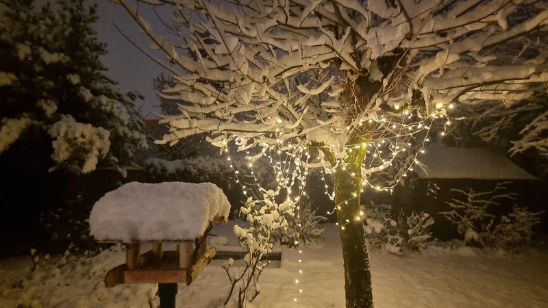 Fotografija: Sneženje bo intenzivno, večina v času šestih ur. FOTO: Boštjan Videmšek
