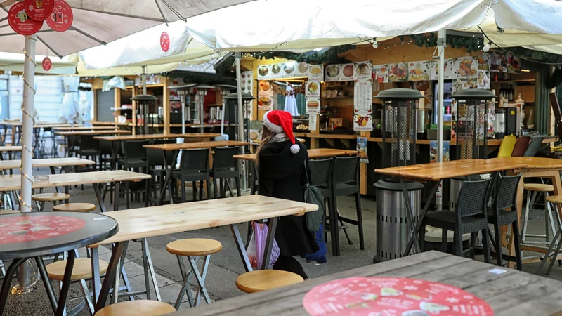 Ljubljanski mestni občini ni uspel manever z zaobhajanjem vladnega odloka. FOTO: Blaž Samec