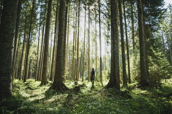 Namen nagrad je spodbuditi, prepoznati in nagraditi ustvarjalno odličnost komunikacije v turizmu. FOTO:&nbsp;Ciril Jazbec/Turistična tiskovna agencija
