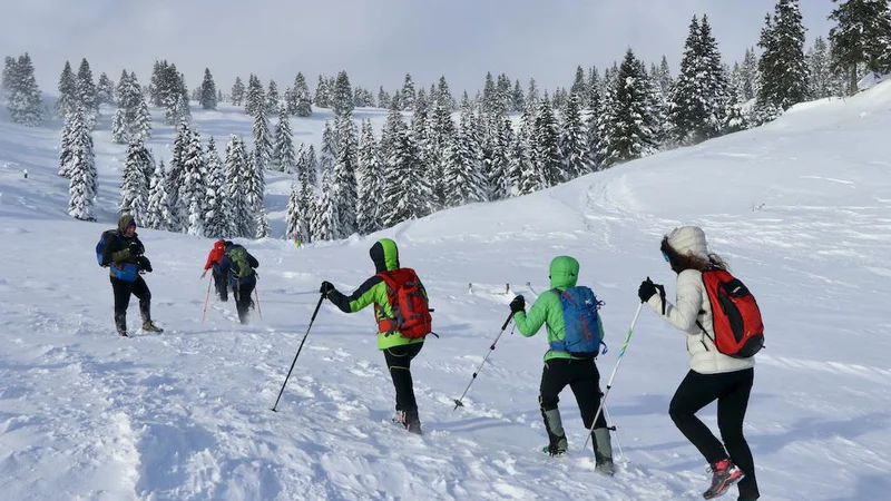 Fotografija: Zasnežene gore zahtevajo izurjenega, opremljenega in spoštljivega obiskovalca. FOTO: Manca Ogrin
