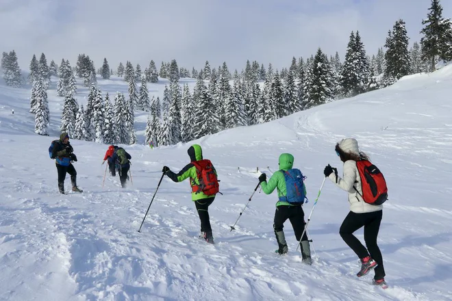 Zasnežene gore zahtevajo izurjenega, opremljenega in spoštljivega obiskovalca. FOTO: Manca Ogrin
