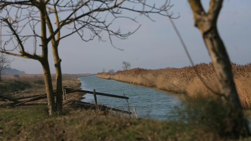 Fotografija: FOTO: Uroš Hočevar/Delo