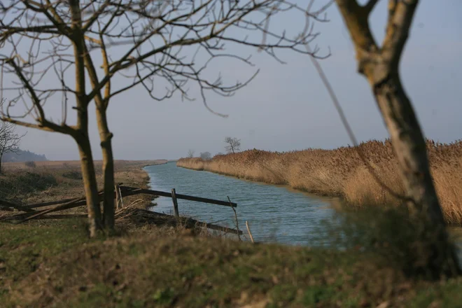FOTO: Uroš Hočevar/Delo