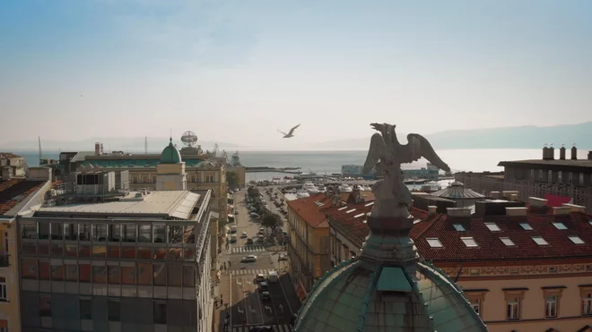 Reški orel Foto Tv Slo
