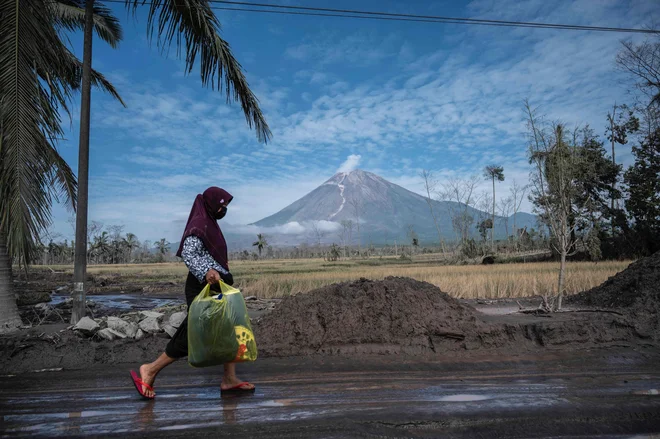 Evakuacija po izbruhu vulkana Semeru na Javi. FOTO: Juni Kriswanto/AFP
