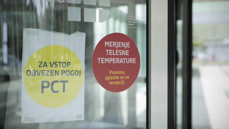 Fotografija: FOTO: Jure Eržen/Delo