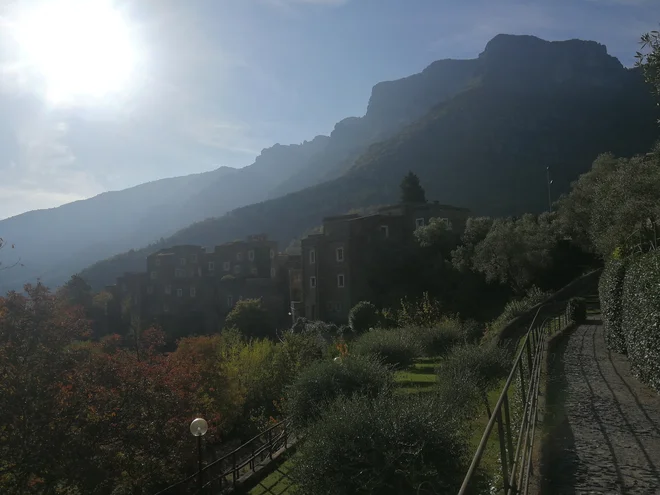 Kraj obdajajo tudi čudoviti oljčni vrtovi. Foto Maja Grgič
