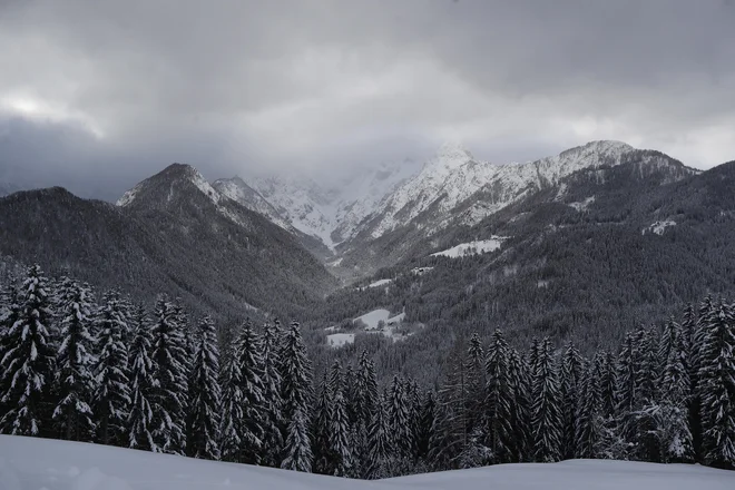 Zimska pravljica na Solčavskem. FOTO: Leon Vidic/Delo
