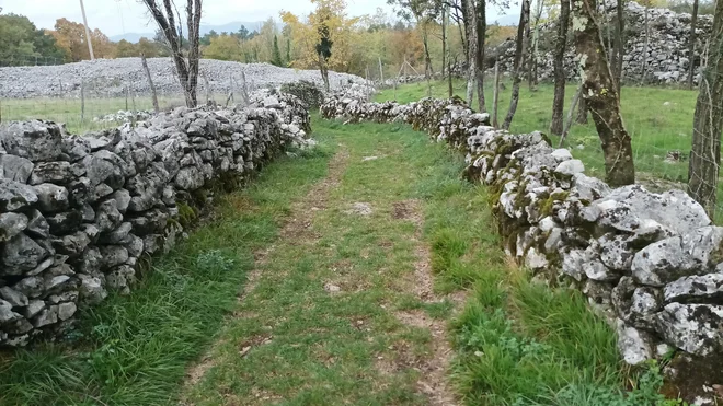 Suhozidno tehniko gradnje so kot človeško dediščino prepoznali tudi pri Unescu.
