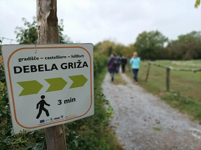 Debela Griža je zaradi zagnanosti prostovoljcev na ogled širši javnosti.
