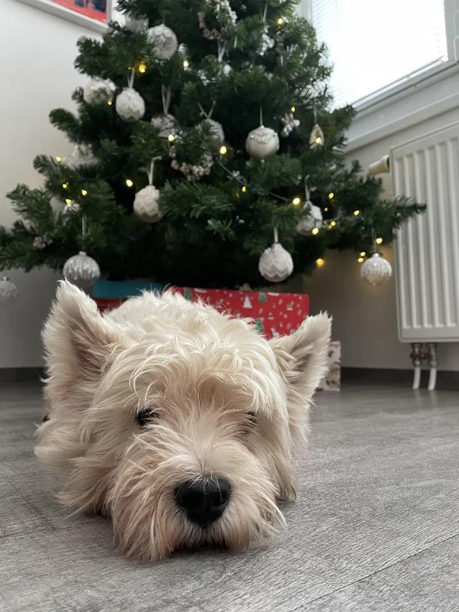 Nacho je poseben dar narave. FOTO: Rok Tamše
