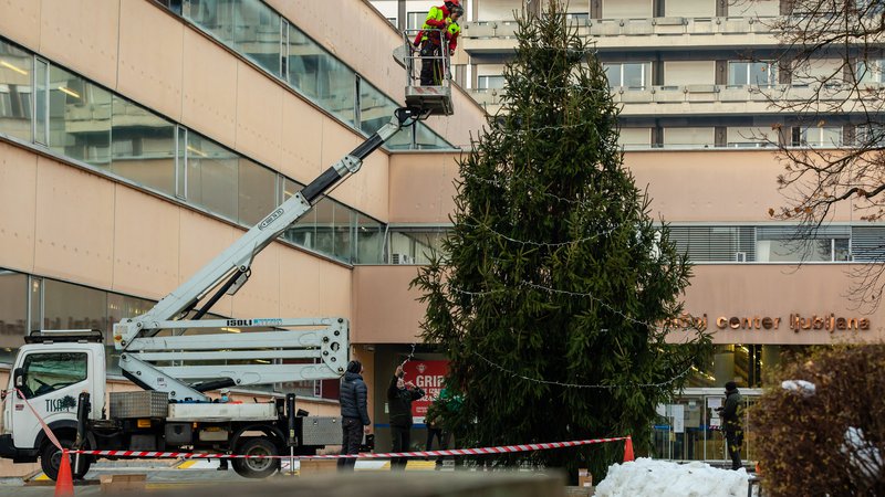 Fotografija: UKC Ljubljana je v zahvalo za požrtvovalnost zdravstvenih delavcev pri obvladovanju epidemije covida-19 sredi decembra družba Slovenski državni gozdovi podarila božično drevo.  Foto Črt Piksi
