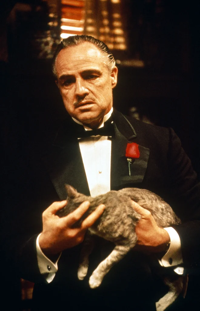 Marlon Brando je bil Corleone v Botru, kdo pa je v dolini Šent Florian? Foto Pf1 Wenn.com
