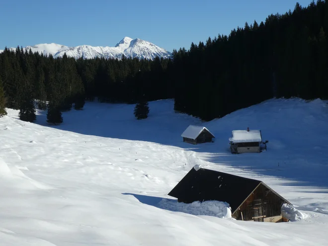 Planina Kranjska dolina. FOTO: Miroslav Cvjetičanin
