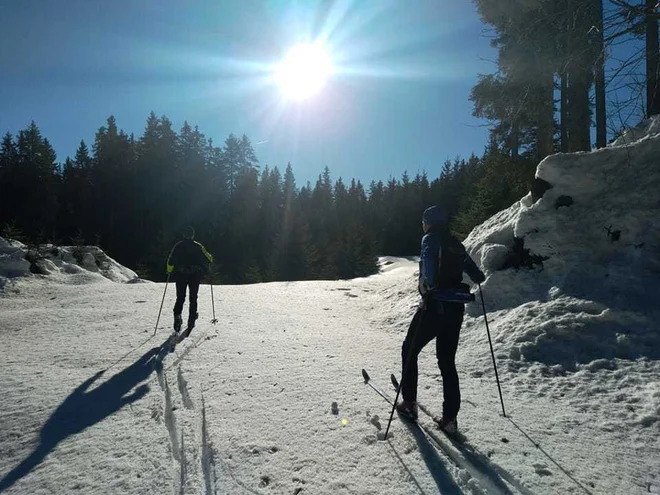 Pokljuka vabi na smučarsko backcountry pohodništvo. FOTO: Miroslav Cvjetičanin
