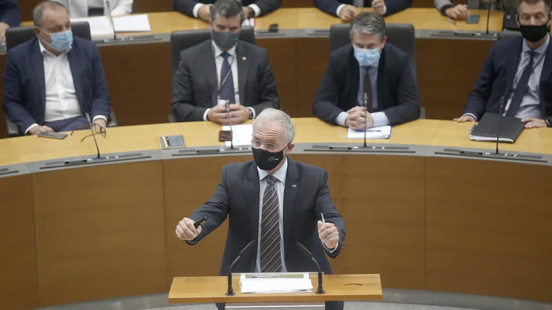 Fotografija: FOTO: Blaž Samec/Delo
