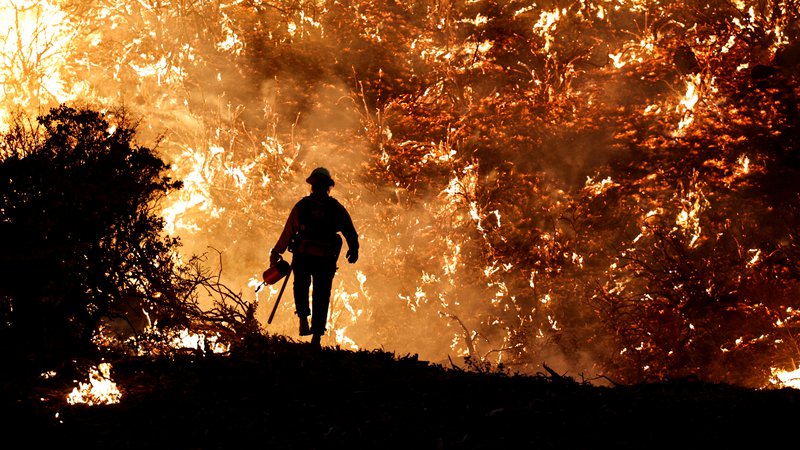 Fotografija: V zadnjem letu smo po vsem svetu z grozo spremljali, kako ogenj požira vse pred sabo. Zaradi vse pogostejših suš bodo pogostejši tudi požari. FOTO: Fred Greaves/Reuters
